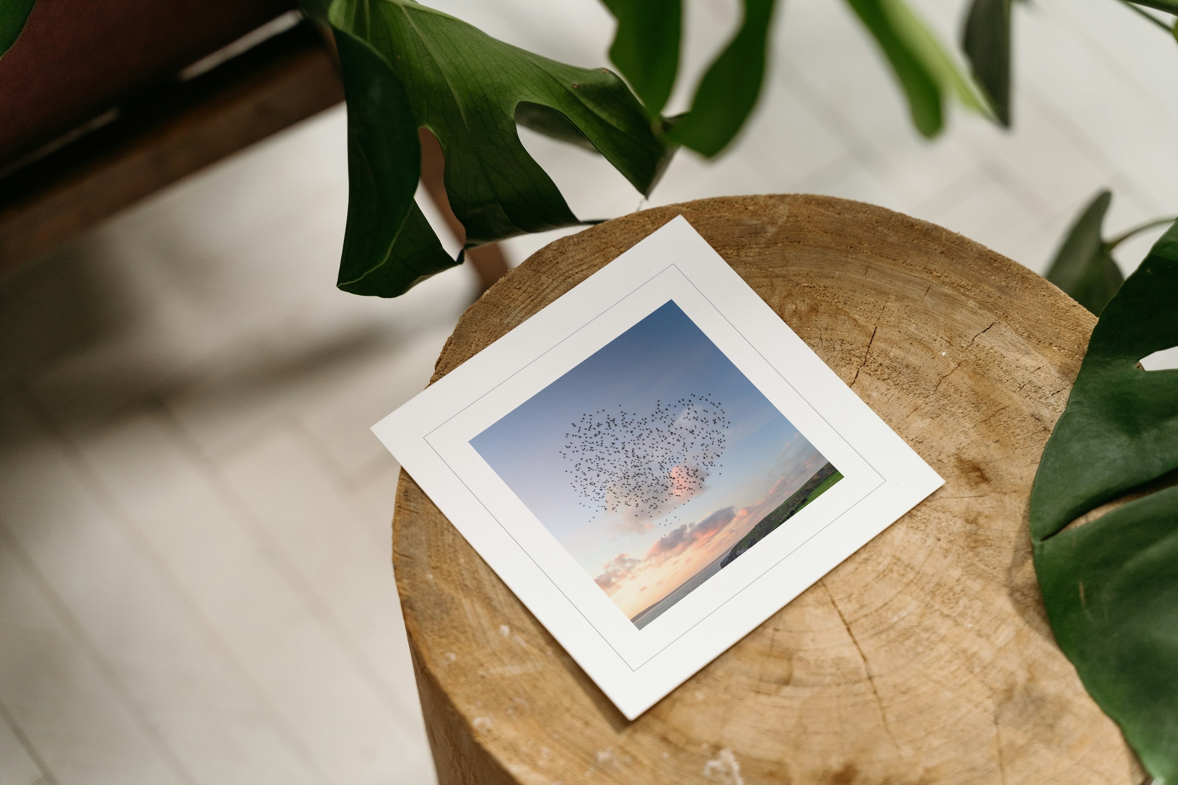 For the Love of Nature - Greeting Card