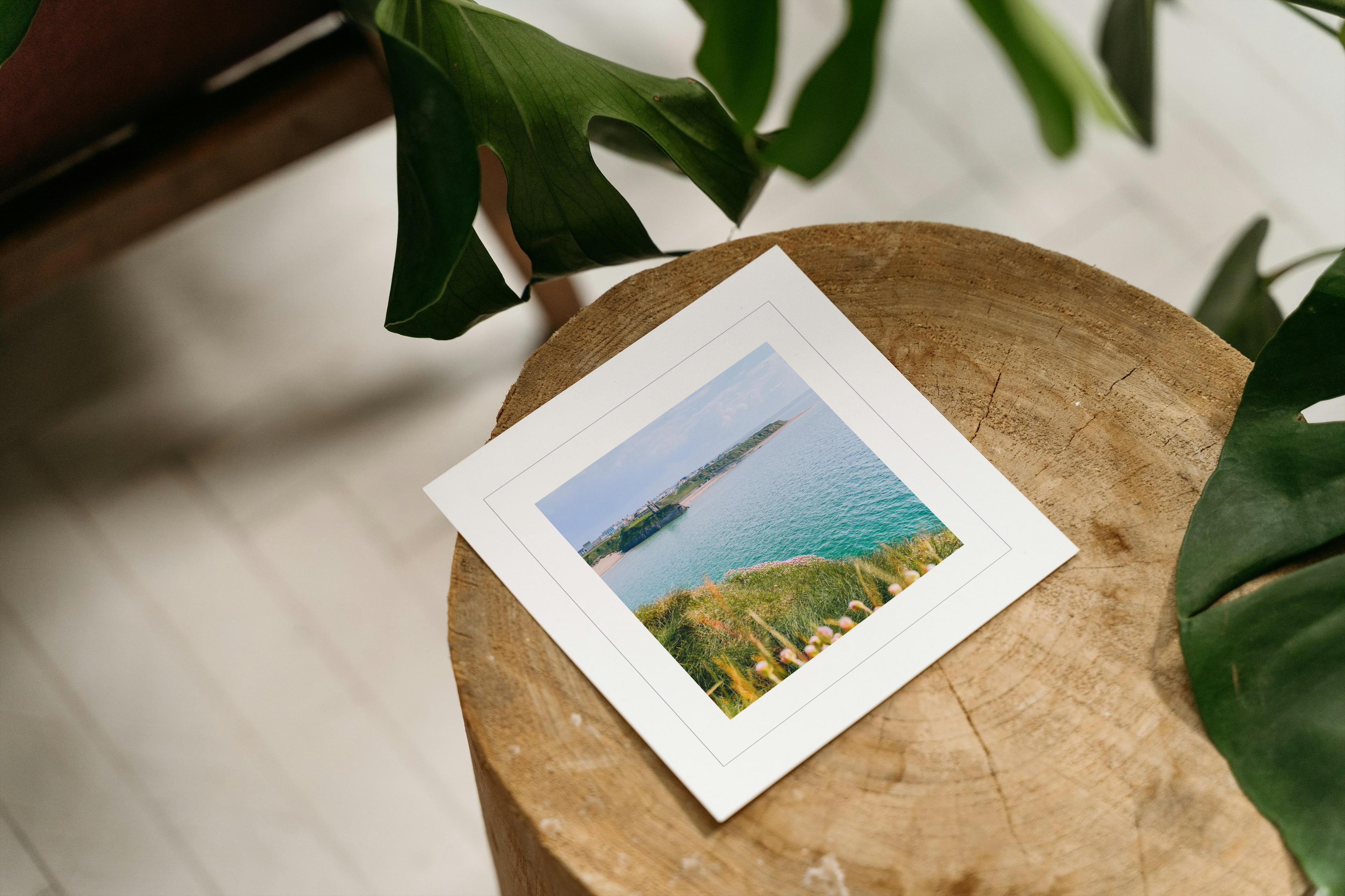 Sea Pink Shoreline - Greeting Card