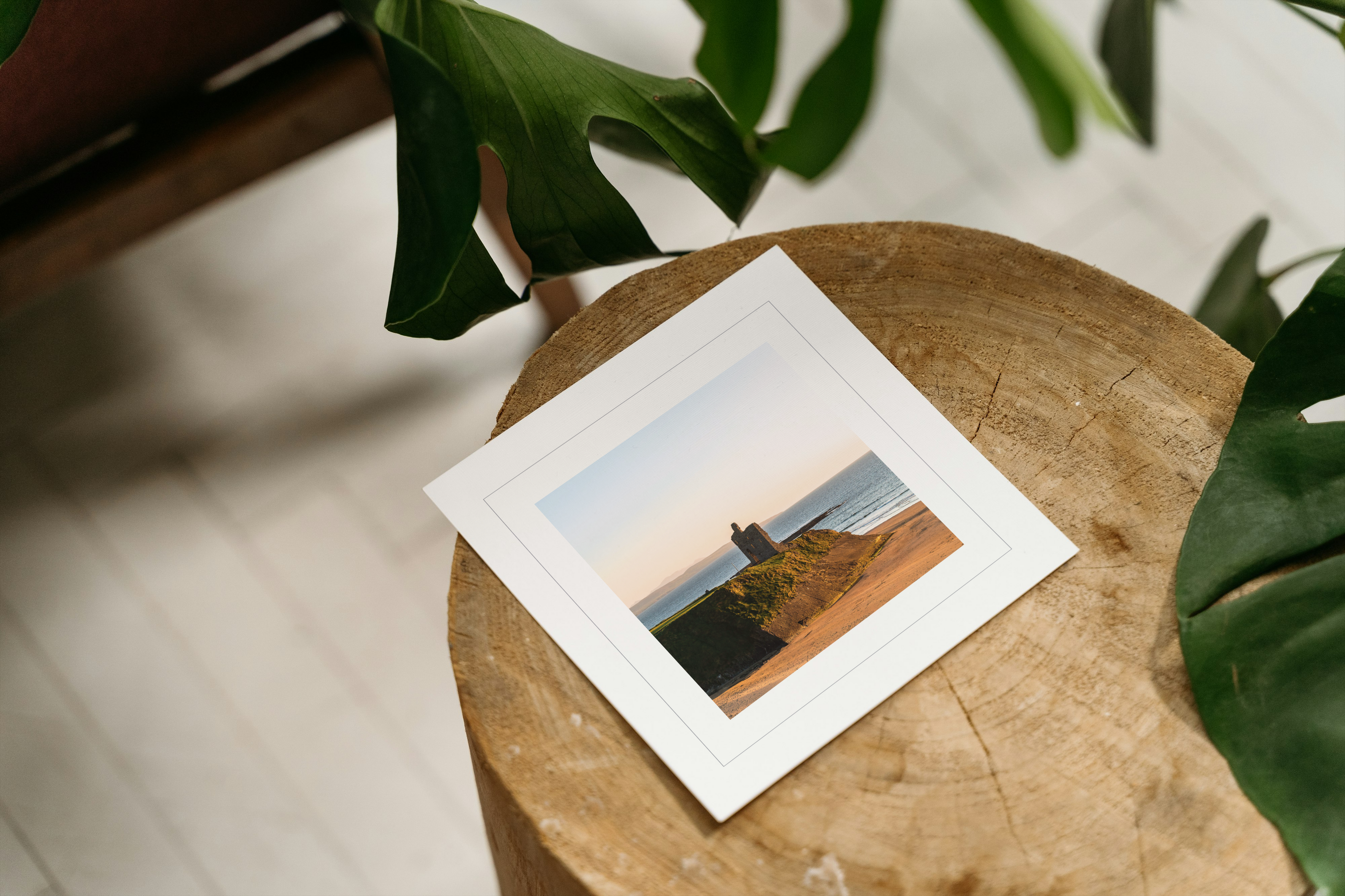 Cliff road sunsets - Greeting Card