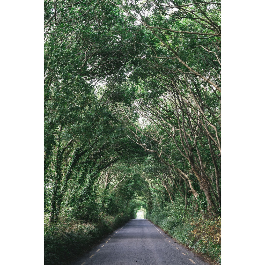Down The Road at the Ladies Walk