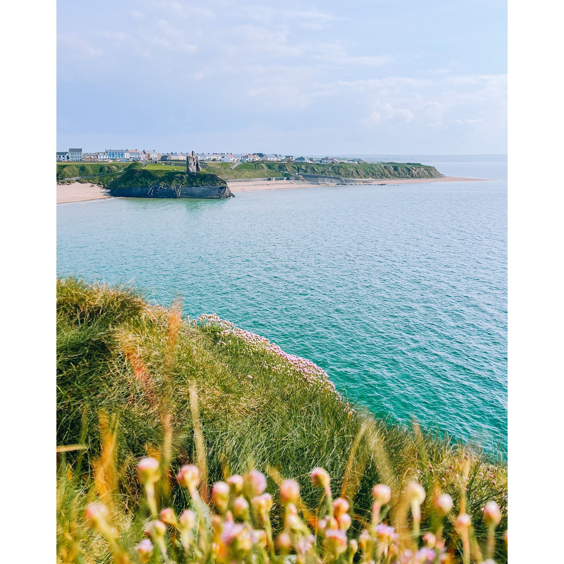Sea Pink Shoreline