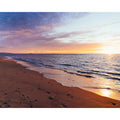 Spring Shoreline