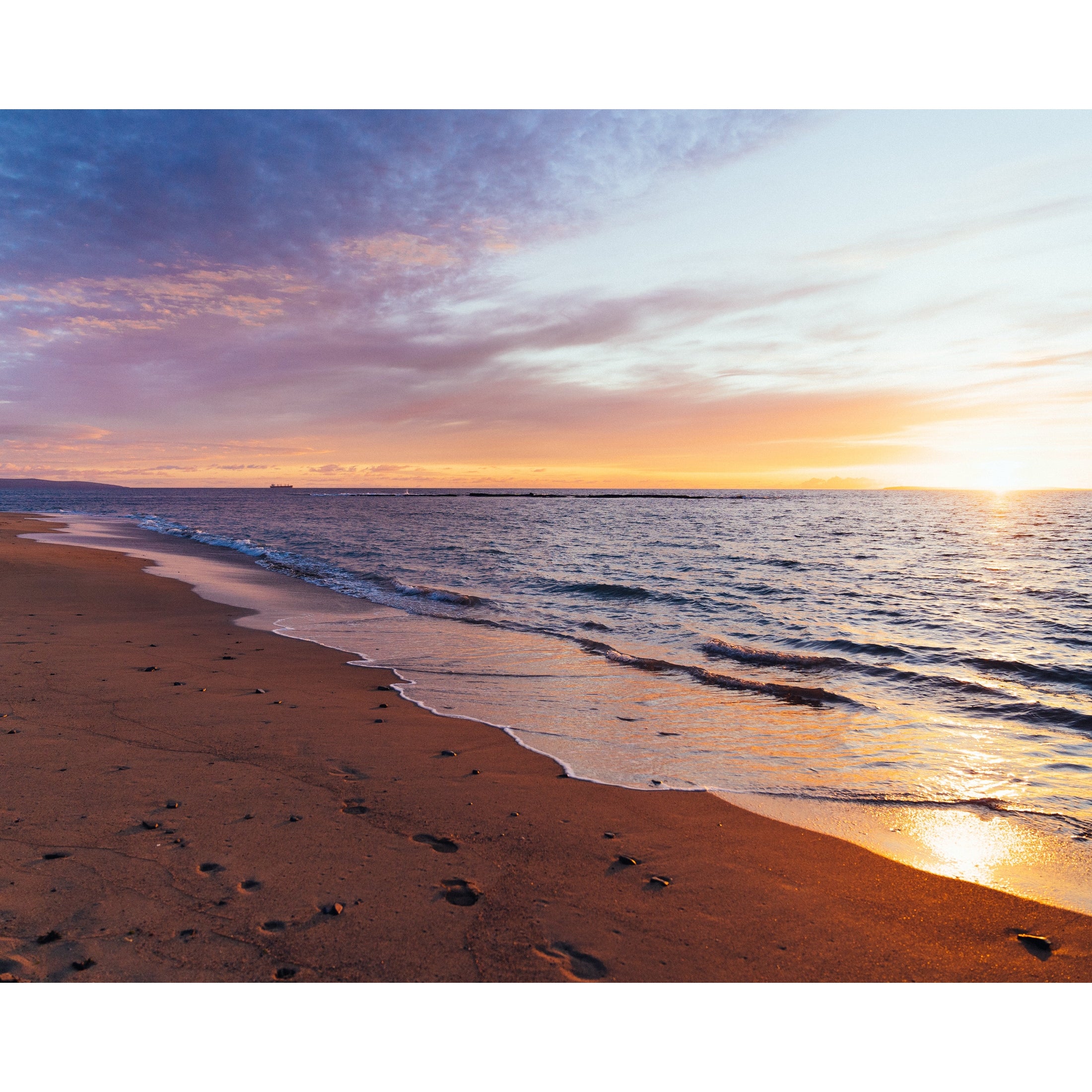 Spring Shoreline